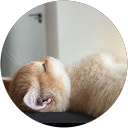 笑リョーサン profile picture